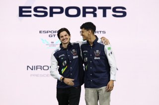 Category Esports F4: Luis Felipe De Sa Tavares from Team Brazil, #17 - Brazil - Igor De Oliveira Rodrigues - Esports GT
 | SRO / JEP