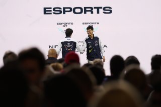 Category Esports F4: Luis Felipe De Sa Tavares from Team Brazil, #17 - Brazil - Igor De Oliveira Rodrigues - Esports GT
 | SRO / JEP