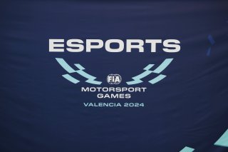 FIA Motorsport Games - Esports
 | SRO / JEP