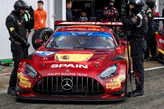 #12 - Spain - Daniel Juncadella  Pérez-Sala - Mercedes-AMG GT3 EVO
 | SRO / JEP