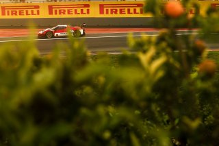 #60 - Japan - Kei Nakanishi - Shigekazu Wakisaka - Ferrari 296 GT3
 | SRO / JEP