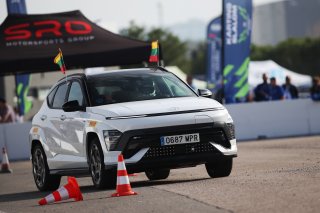 Lithuania - Olga Agnius – Židovlenkova Narbutas - Auto Slalom
 | SRO / JEP