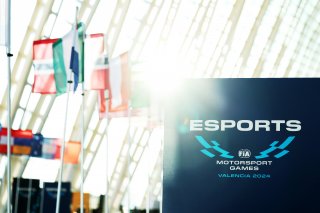 FIA Motorsport Games - ESports
 | SRO / JEP