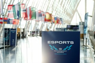 FIA Motorsport Games - Esports
 | SRO / JEP