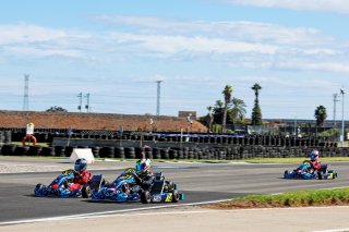 #74 - Netherlands - Mats Van Rooijen - Karting Sprint Jr
 | SRO / JEP