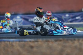 #16  Hungary  Gergo Kocsar - Karting Sprint Sr
 | SRO / JEP