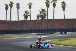 #23  Mexico  Patricio Hoppenstedt - Karting Sprint Sr
 | SRO / JEP