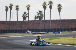 #31  Portugal  Miguel Silva - Karting Sprint Sr
 | SRO / JEP