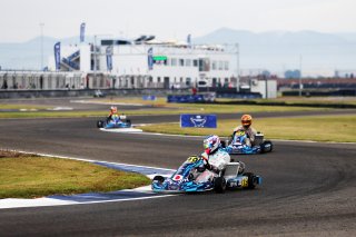 #19  Japan  Kota Tsuchihashi - Karting Sprint Sr
 | SRO / JEP