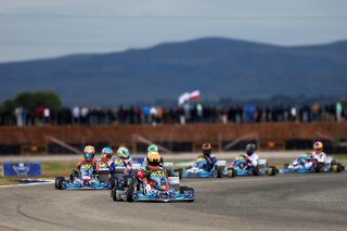 #31  Portugal  Miguel Silva - Karting Sprint Sr
 | SRO / JEP