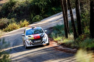 #21 Germany - Tom Kasser - Stephan Schneeweiß - Peugeot 208 Rally4
 | SRO / JEP