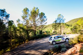 #21 Germany - Tom Kasser - Stephan Schneeweiß - Peugeot 208 Rally4
 | SRO / JEP