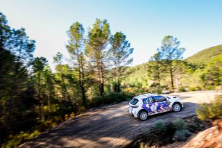 #22 Chinese Taipei - Hsuan Lee - Tsungyu Hsieh - Peugeot 208 Rally4
 | SRO / JEP