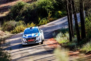 #29 Greece - Christos Avgeropoulos - Efstratios Giavasis - Peugeot 208 Rally4
 | SRO / JEP