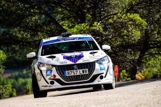 #22 Chinese Taipei - Hsuan Lee - Tsungyu Hsieh - Peugeot 208 Rally4
 | SRO Motorsports Group