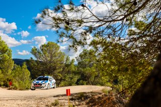 #29 Greece - Christos Avgeropoulos - Efstratios Giavasis - Peugeot 208 Rally4
 | SRO Motorsports Group