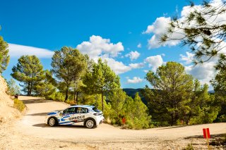 #29 Greece - Christos Avgeropoulos - Efstratios Giavasis - Peugeot 208 Rally4
 | SRO Motorsports Group