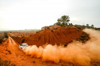 #18 Spain - Sergi Perez - Axel Coronado - Peugeot 208 Rally4 | JEP/SRO