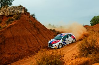 #19 Slovakia - Martin Koci - Petr Tesinsky - Peugeot 208 Rally4 | JEP/SRO