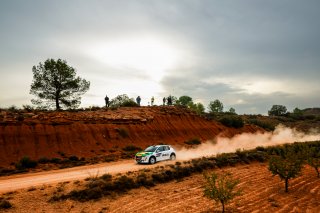 #20 Brazil - Luis Eduardo Stedile - Carlos Enrique Morales - Peugeot 208 Rally4 | JEP/SRO