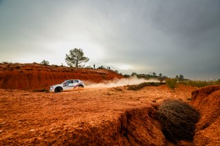 #23 Lithuania - Audronis Gulbinas - Vytis Pauliukonis - Peugeot 208 Rally4 | JEP/SRO