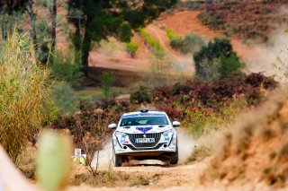 #22 Chinese Taipei - Hsuan Lee - Tsungyu Hsieh - Peugeot 208 Rally4
 | SRO \ JEP