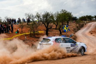 #19 Slovakia - Martin Koci - Petr Tesinsky - Peugeot 208 Rally4
 | JEP/SRO