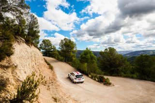 #11 Georgia - Sandro Tavartkiladze - Davit Arjevanidze - Skoda Fabia R5
 | SRO Motorsports Group