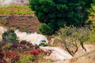 #8 Spain - Jose Suarez - Alberto Iglesias Pin - Skoda Fabia R5
 | JEP/SRO